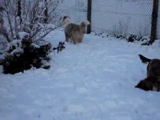 APIE ET OUIOUI DS LA NEIGE