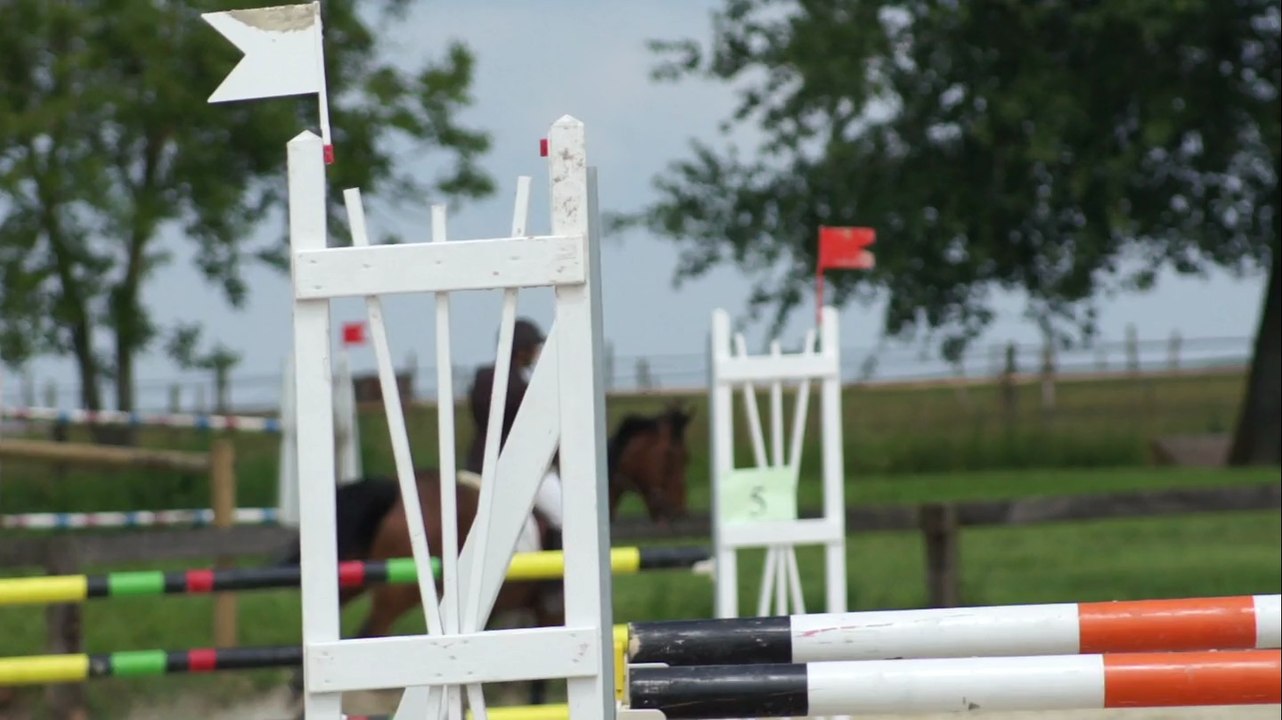 Litchie Club1 GP 95 cm