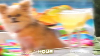 Siena on Sonterra Apartments in San Antonio, TX - ForRent.com