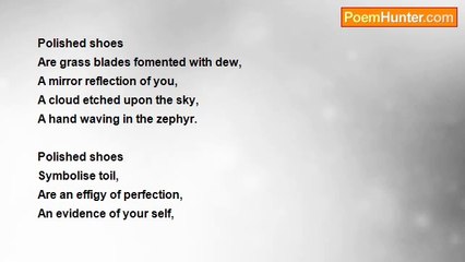 Devanshi Khetarpal - Polished Shoes