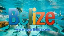 why we like Belize Reason #53 6-16-2014 Belize