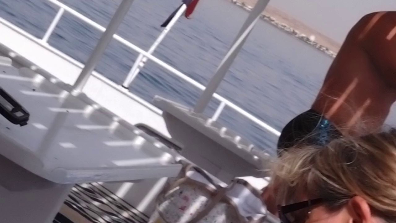 egypter 2014