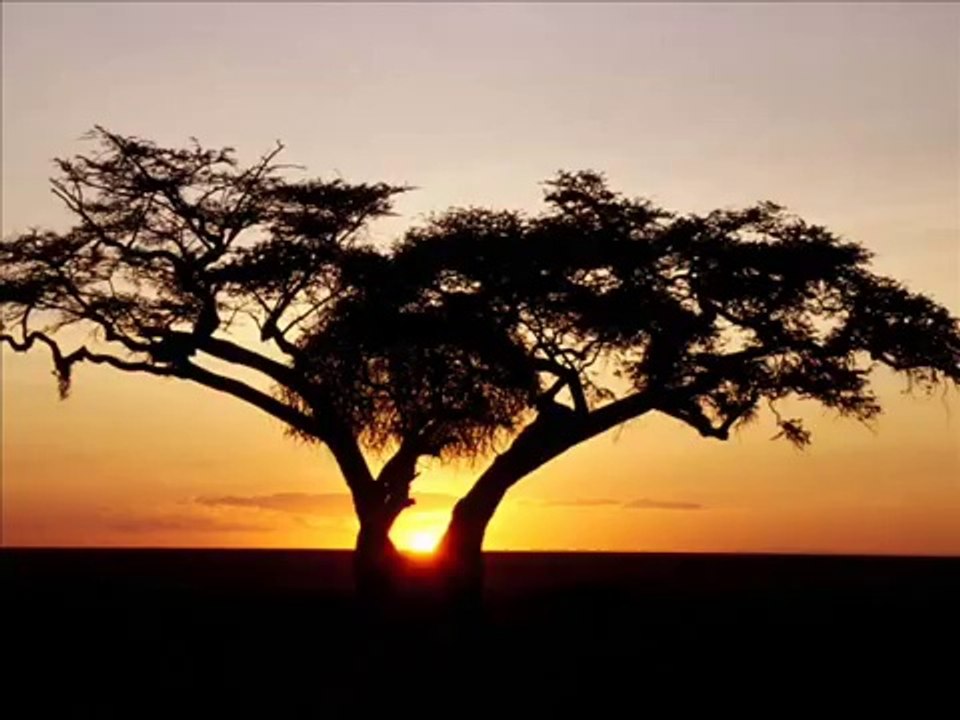 Barış Manço - Yeni Bir Gün