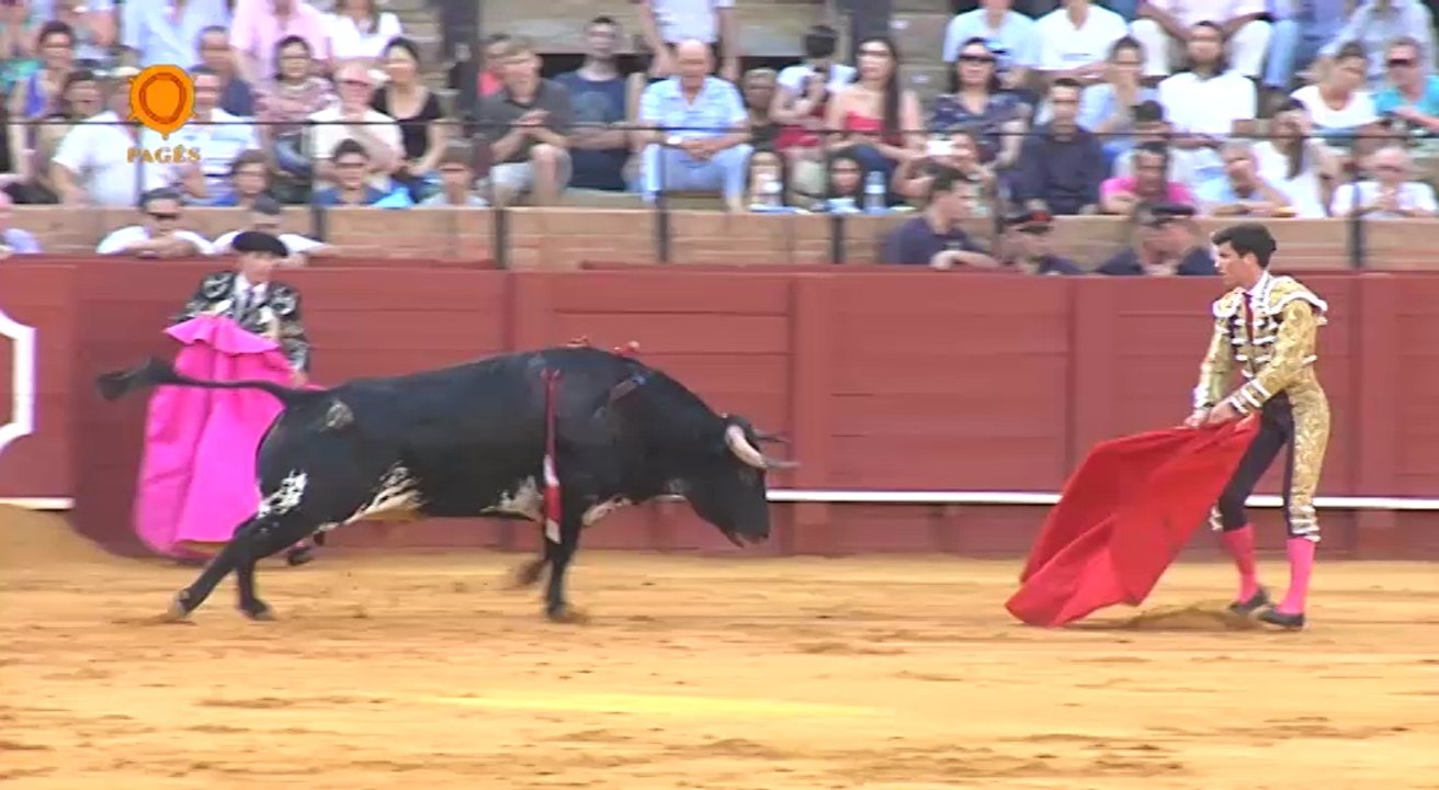 Novillada del 15 de junio en la Maestranza de Sevilla