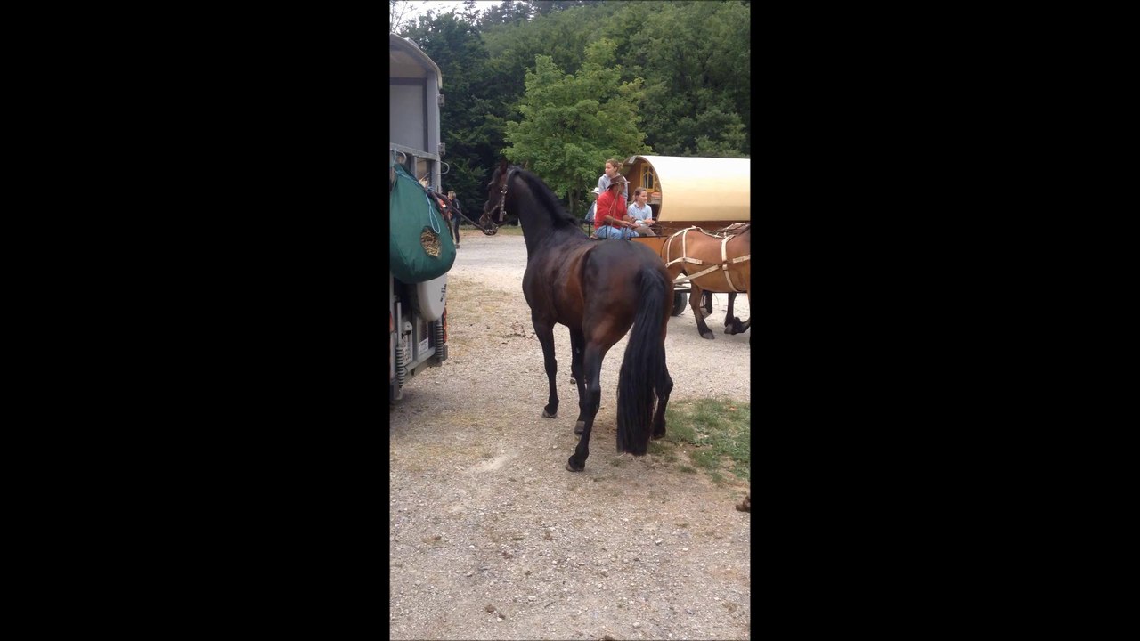 socrate fait son show.... tel mere tel loulou ;-) super journée en tout cas a refaire viiiite