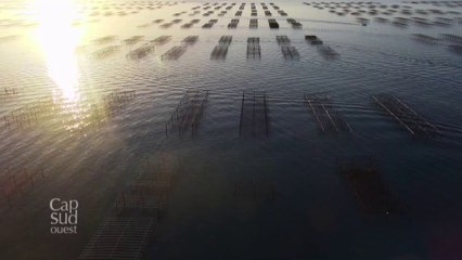 Cap Sud Ouest Etang de Thau