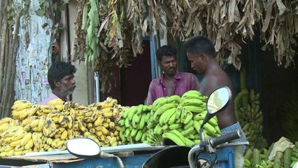 Descargar video: Boom du tourisme médical en Inde, retour des médecins émigrés