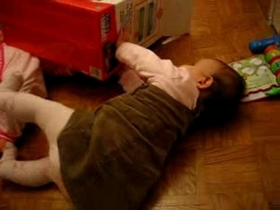 Vive les cartons !!!