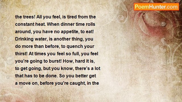 Audrey Heller - Summers Heat