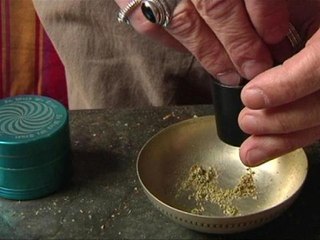 Un militant pour l'usage médical du cannabis face à la justice - 16/06