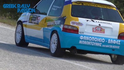 10th Rally Sprint Τρικάλων 2014