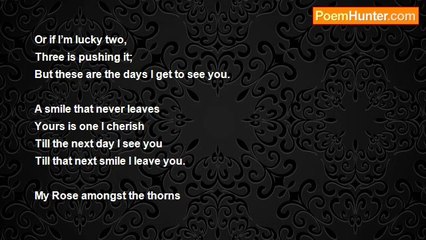 Adam Rubenstein - A Rose Amongst The Thorns