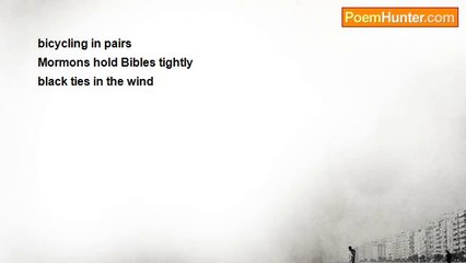 Lillian Susan Thomas - Senryu 1 (bicycling in pairs)