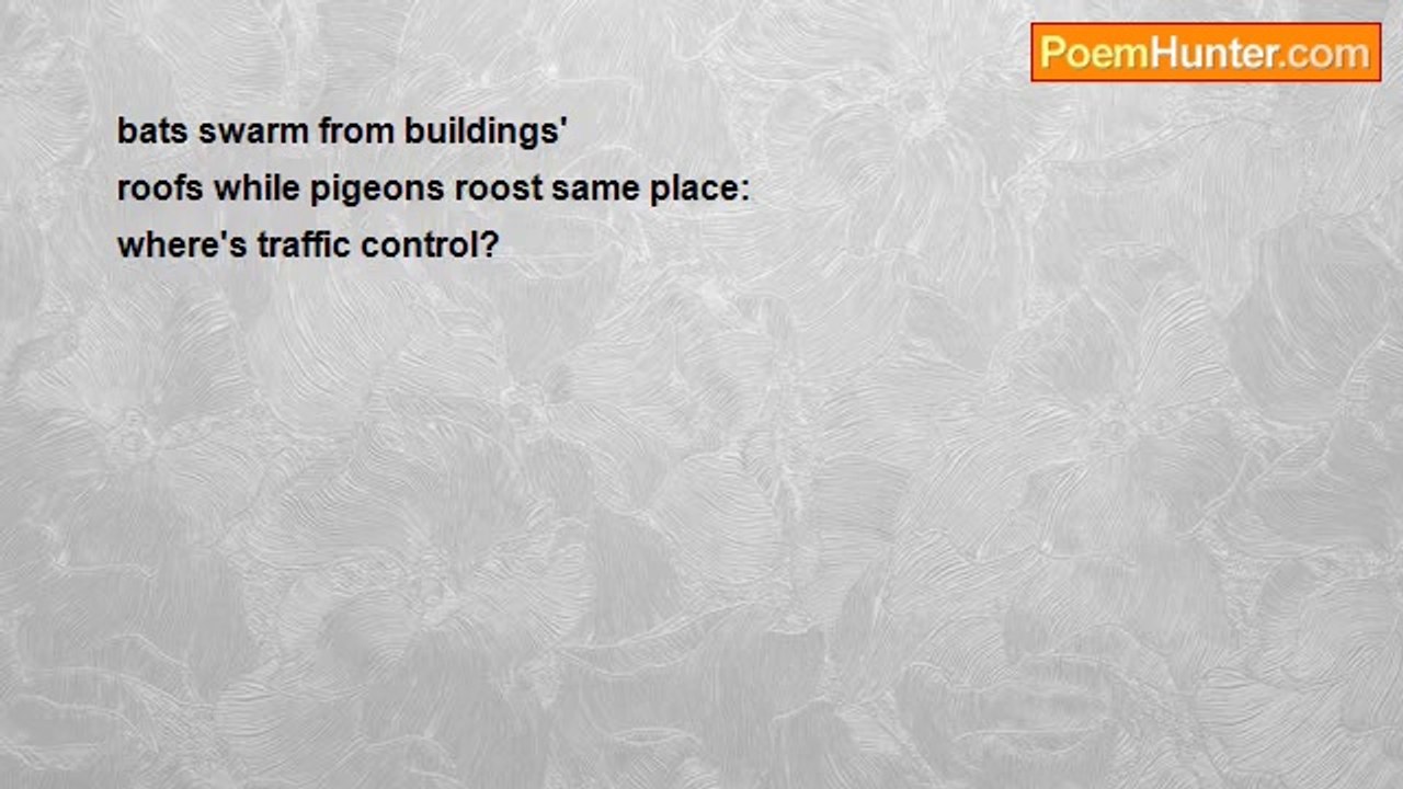 Lillian Susan Thomas - Haiku #19