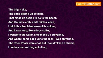 Amy Gibbs - A Sunny Day In Falmouth