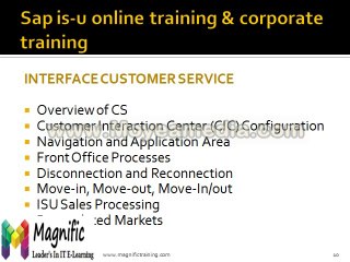 sap isu online training & corporate training
