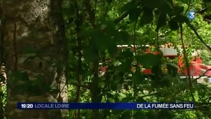 France 3 Loire  - 13 juin 2014