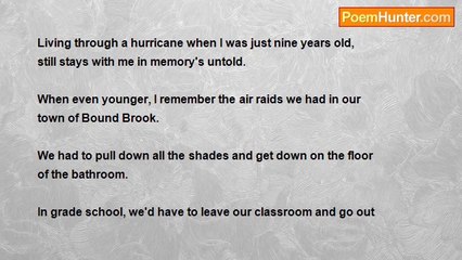 RoseAnn V. Shawiak - Expanding Into Remembering