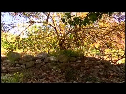 فلسطين هذا الصباح ج2 -الاثنين- 16-6-2014