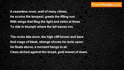 Herbert Bashford - The Seagull