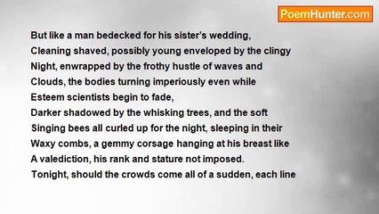 Robert Rorabeck - Unimposed By Prose