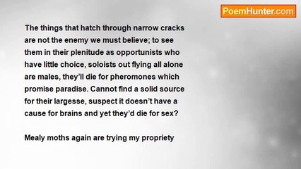 Ivan Donn Carswell - Too Wit