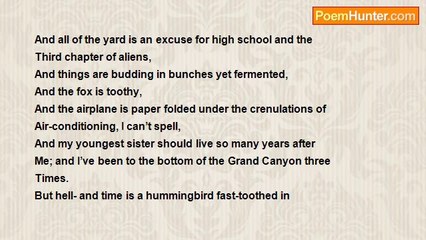 Robert Rorabeck - Early Morning Paramours