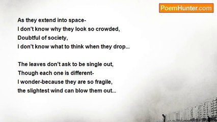 Romeo Della Valle - TREES AND LEAVES