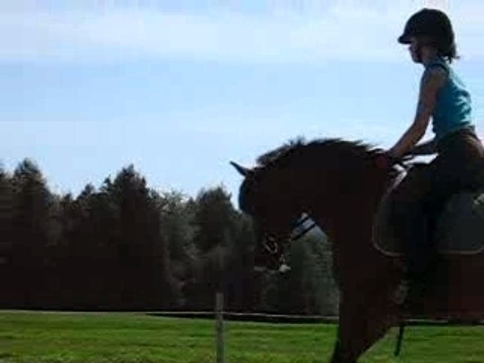 MVI_2187