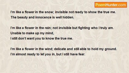 Harley Roth - Flowers