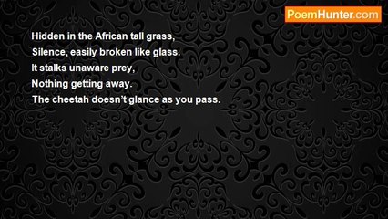 Ocean Myranda - The Cheetah