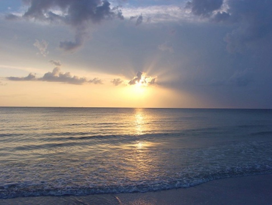 Danny Sawrij | Green Energy and Recycling in Britain: Successes and Future Progress