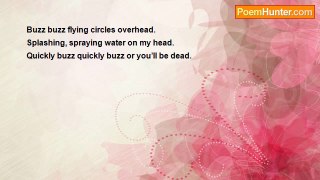 Joseph Wordsmith - Buzz Buzz Flying Circles Overhead