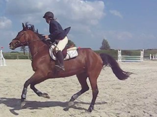 Litchie de Bernot en CSO