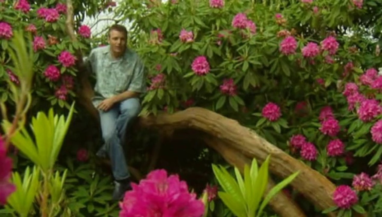 The A To Z Of TV Gardening - R