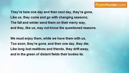 david lessard - A Thousand Eyes