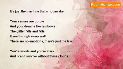 Not A Dream Choice - Flowers