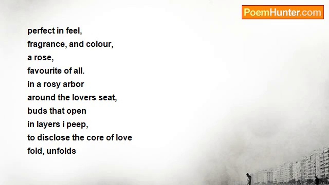 ritty patnaik - a rose