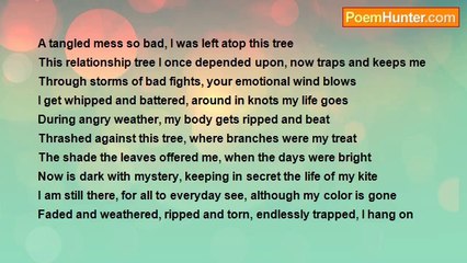 Deborah Cromer - The Kite-Part 1