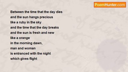 Gert Strydom - Between the time that the day dies