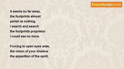 Susan T. Aparejo - From a Distance