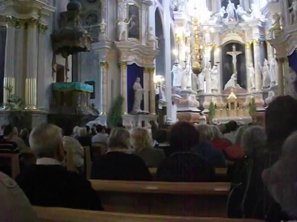pamokslas kaunas2014.06.15