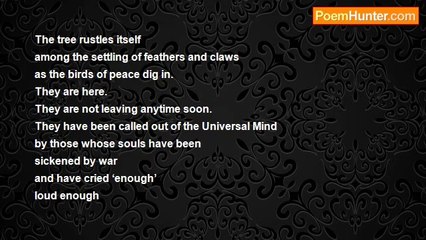 Jyoti Wind - Birds of Peace