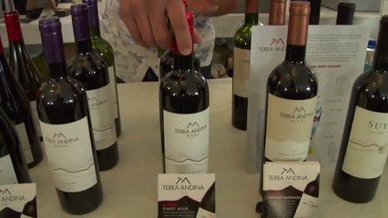 Aspen Food and Wine Classic 2010 - Oscar Salas - Terra Andina