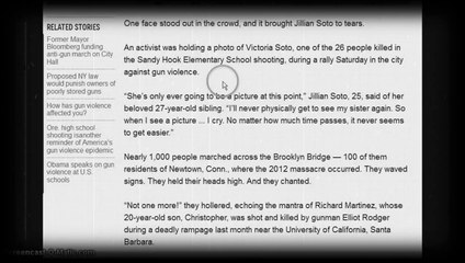 Main Stream Media and the Gun Control Debate