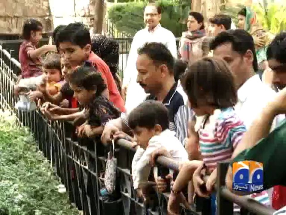 Lahore Zoo-16 Jun 2014