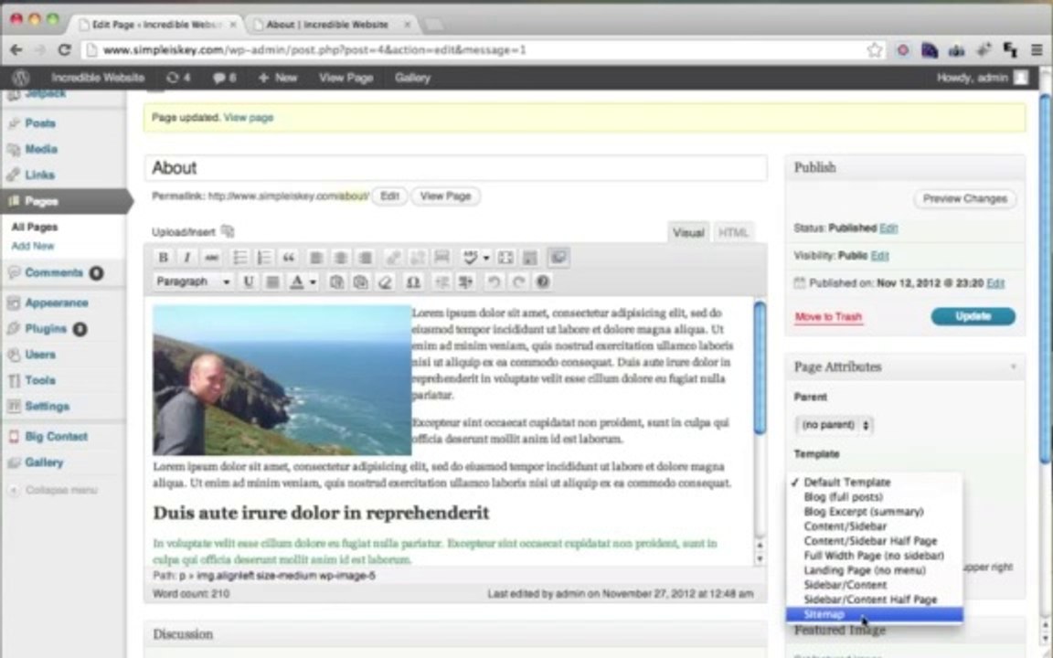 custom wordpress and plugin developers