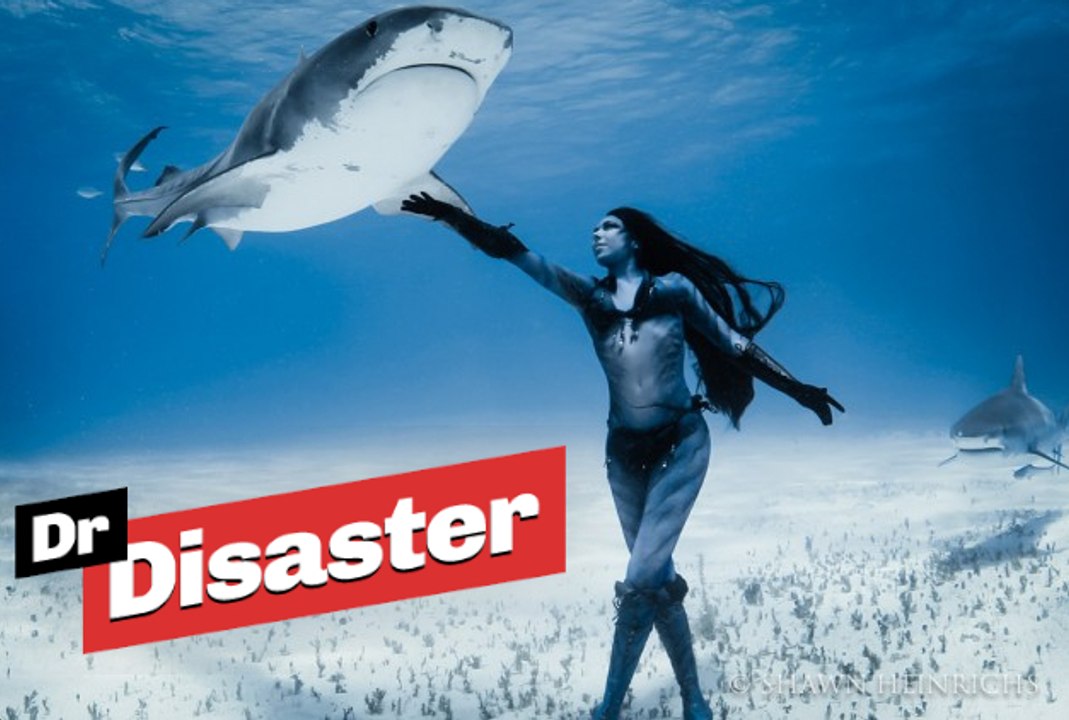 Elle danse avec les requins pour les sauver / Dr Disaster