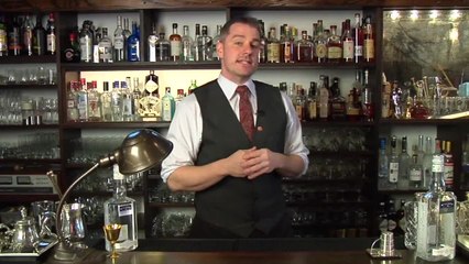 Strega Sour - Junior Ryan - Martin Miller's Gin Trade Up Winner - Raising the Bar