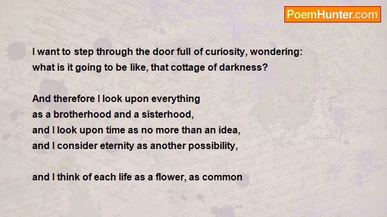 eli schiller - death comes in autmn